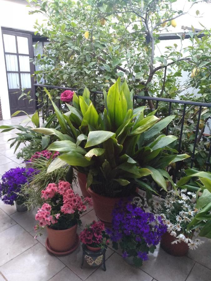 El Patio Andalu Bed & Breakfast Ardales Luaran gambar