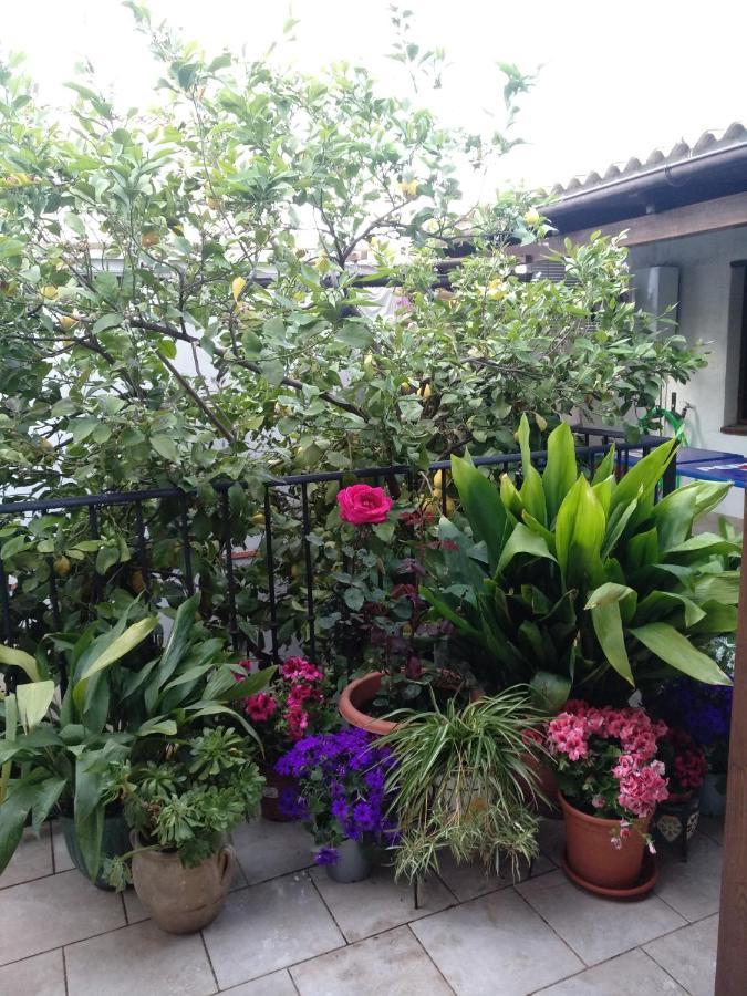 El Patio Andalu Bed & Breakfast Ardales Luaran gambar