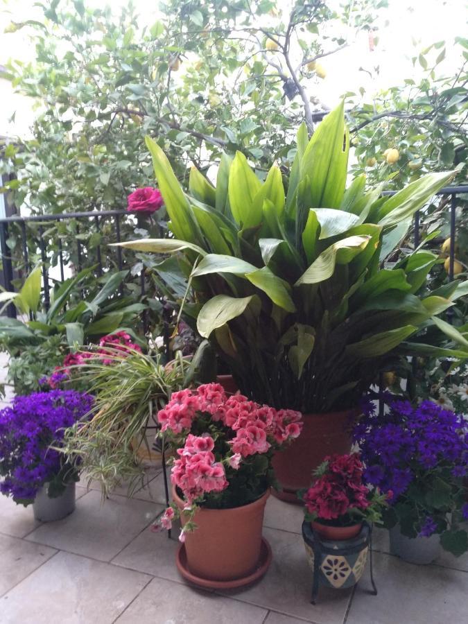El Patio Andalu Bed & Breakfast Ardales Luaran gambar